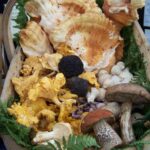 A basket of wild mushrooms