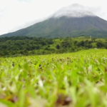 landtribe nature restoration