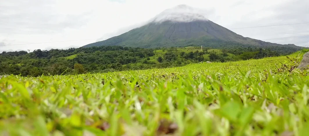 landtribe nature restoration